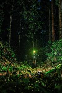 BIB: 
                            <button type="button" onclick="openModal(26207471)" class="btn btn-primary btn-sm float-right btn-popup" data-toggle="modal" data-target=".modal-high-quality">
                        <i class="fas fa-shopping-cart"></i> Add to Cart
                    </button>
                                            <button type="button" onclick="isThisMe(26207471, true)" class="btn btn-success btn-sm float-right btn-popup btn-isme hidden" data-toggle="tooltip" data-placement="bottom" title="นี่คือรูปของคุณใช่ไหม คลิกที่นี่เพื่อเอาเข้าอัลบั้ม">
                        <i class="fas fa-plus"></i> Add to album
                    </button>
                    <button type="button" onclick="isThisMe(26207471, false)" class="btn btn-warning btn-sm float-right btn-popup btn-isnotme hidden">
                        <i class="fas fa-ban"></i> Remove from album
                    </button>